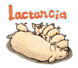 pig's life sticker in spanish sticker #12911556