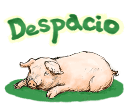 pig's life sticker in spanish sticker #12911570