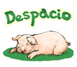pig's life sticker in spanish sticker #12911570