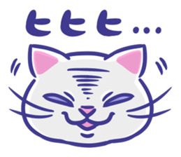 Cat faces sticker #12911760