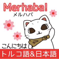 Florist Hanako-chan (Turkish)