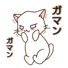 c cat2 sticker #12913229