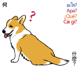 Long Tail Corgi (Multilingual) sticker #12913340