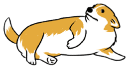 Long Tail Corgi (Multilingual) sticker #12913343