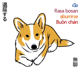 Long Tail Corgi (Multilingual) sticker #12913344