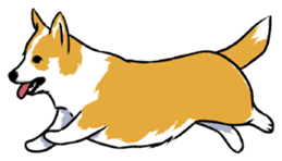 Long Tail Corgi (Multilingual) sticker #12913351