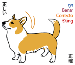 Long Tail Corgi (Multilingual) sticker #12913356