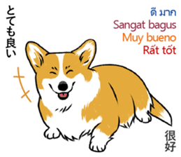 Long Tail Corgi (Multilingual) sticker #12913364