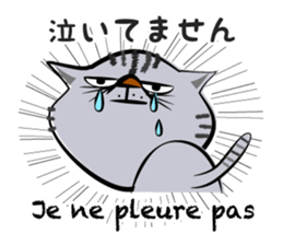 Two cats speak French 2 sticker #12914132