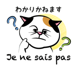 Two cats speak French 2 sticker #12914156