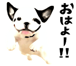 Happy sticker of the French buldog sticker #12915566