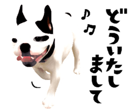 Happy sticker of the French buldog sticker #12915570