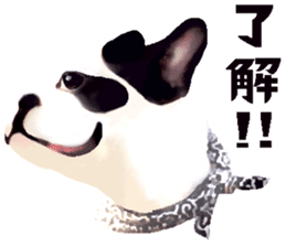 Happy sticker of the French buldog sticker #12915573