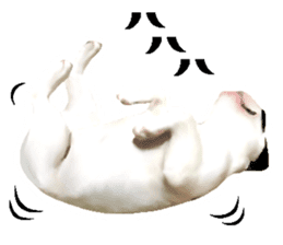 Happy sticker of the French buldog sticker #12915575