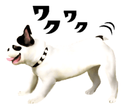 Happy sticker of the French buldog sticker #12915576