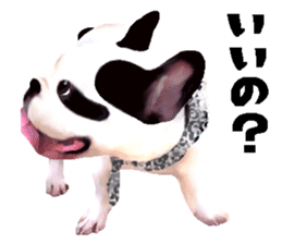 Happy sticker of the French buldog sticker #12915580