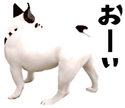 Happy sticker of the French buldog sticker #12915582