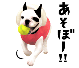 Happy sticker of the French buldog sticker #12915583