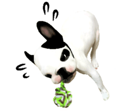 Happy sticker of the French buldog sticker #12915585