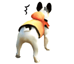 Happy sticker of the French buldog sticker #12915586