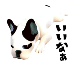 Happy sticker of the French buldog sticker #12915589