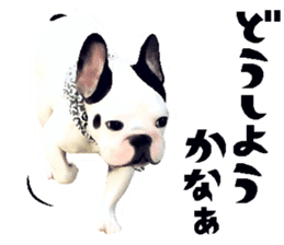 Happy sticker of the French buldog sticker #12915590