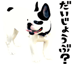 Happy sticker of the French buldog sticker #12915591