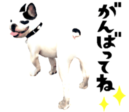 Happy sticker of the French buldog sticker #12915592