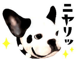 Happy sticker of the French buldog sticker #12915593