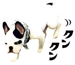 Happy sticker of the French buldog sticker #12915596