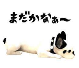 Happy sticker of the French buldog sticker #12915598