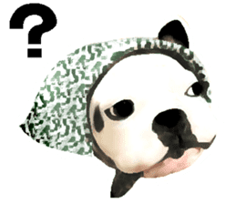 Happy sticker of the French buldog sticker #12915599