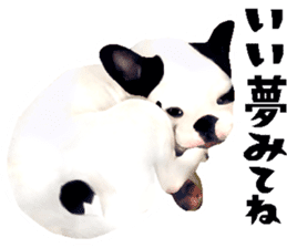 Happy sticker of the French buldog sticker #12915604