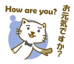 Odd Cat Snowy sticker #12916118