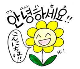 Korean-Japanese sunflower "tommy"~basic sticker #12916246