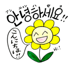 Korean-Japanese sunflower "tommy"~basic sticker #12916246