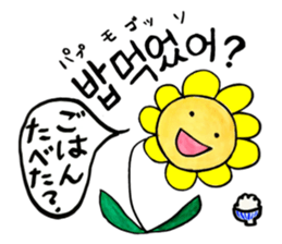 Korean-Japanese sunflower "tommy"~basic sticker #12916247