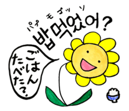 Korean-Japanese sunflower "tommy"~basic sticker #12916247