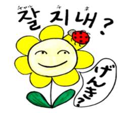 Korean-Japanese sunflower "tommy"~basic sticker #12916248