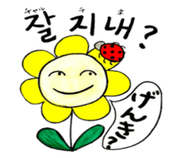 Korean-Japanese sunflower "tommy"~basic sticker #12916248