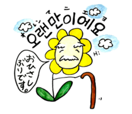 Korean-Japanese sunflower "tommy"~basic sticker #12916254