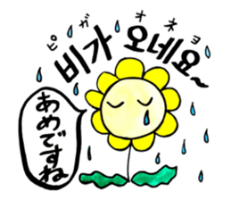 Korean-Japanese sunflower "tommy"~basic sticker #12916260