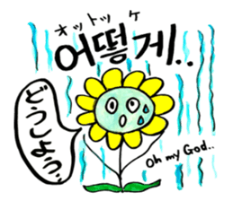 Korean-Japanese sunflower "tommy"~basic sticker #12916261