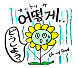 Korean-Japanese sunflower "tommy"~basic sticker #12916261