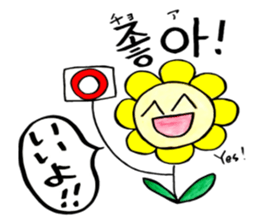 Korean-Japanese sunflower "tommy"~basic sticker #12916262