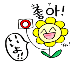 Korean-Japanese sunflower "tommy"~basic sticker #12916262