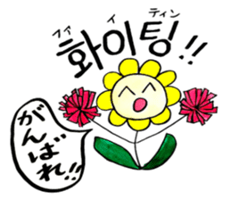 Korean-Japanese sunflower "tommy"~basic sticker #12916264