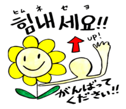 Korean-Japanese sunflower "tommy"~basic sticker #12916265