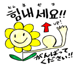 Korean-Japanese sunflower "tommy"~basic sticker #12916265