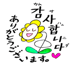 Korean-Japanese sunflower "tommy"~basic sticker #12916269